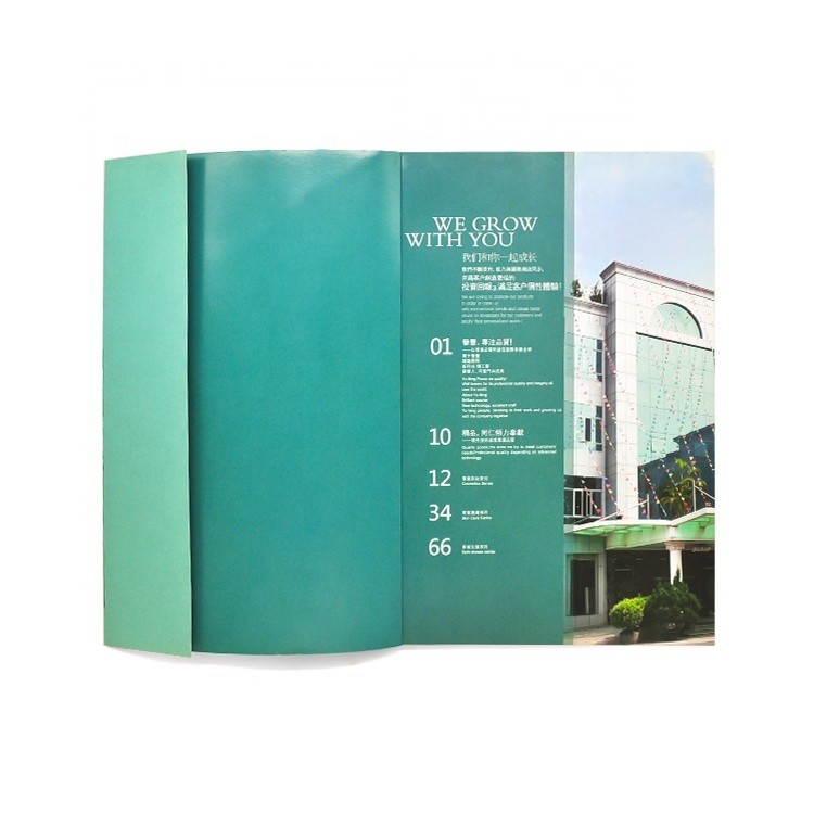 Stampa di libri illustrati a colori personalizzati Approvazione ISO a colori 4c+4c CMYK